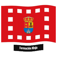 Castilla Y Leon Flag Sticker by Formación Ninja