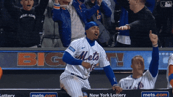 Excited Major League Baseball GIF by New York Mets