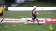 Tfa GIF by Touch Football Australia