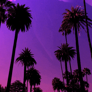 Look Up Road Trip GIF by dnewmie