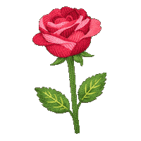 GideonHayesLA animation flowers rose valentines day Sticker