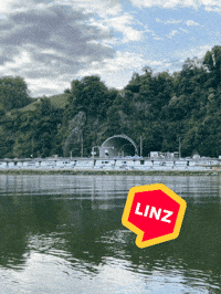 Bundesliga Fans GIF by Linz News