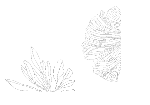 In The Loop Activewear Sticker by Loop Body