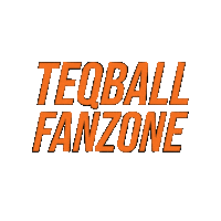 Fan Sticker by Teqball