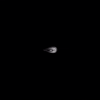 Black And White Life GIF by roberthruska