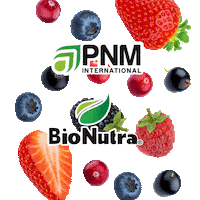Pnm Sticker by PNMInternational
