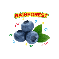 Blueberry Sticker by Rainforest Caribbean