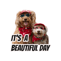 Beautiful Day Doodle Sticker by Milagency