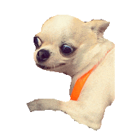 gue STICKER by imoji