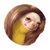 party dogs STICKER by imoji