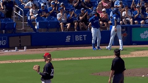 Blue Jays Mlb GIF by Toronto Blue Jays