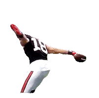 Regular Season Football Sticker by NFL