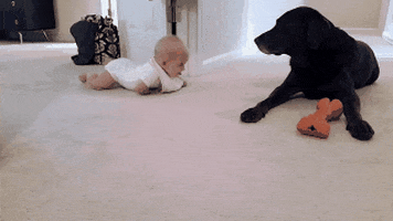 GIF by Giffffr