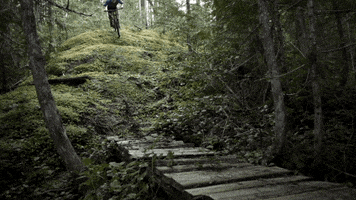 builder GIF by EchoBoom Sports