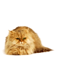 mmb monetakocour Sticker by MonetaMoneyBank