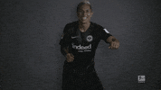 german football GIF by Bundesliga