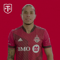 Major League Soccer Yes GIF by Toronto FC