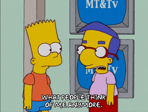 bart simpson milhouse von houten GIF