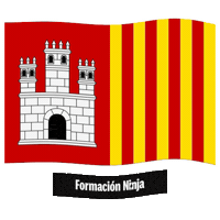 Flag Barcelona Sticker by Formación Ninja