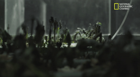 mars GIF by National Geographic Channel