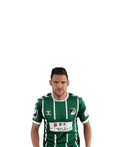 Sport Goal Sticker by VfB Lübeck