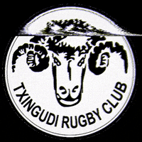 txingudirugby rugby irun hondarribia txingudi GIF