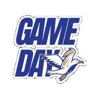 Game Day Seagulls Sticker by Divine Savior Academy