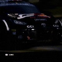 Driving Good Bye GIF by FIA World Rally Championship