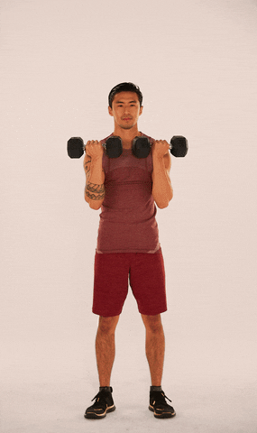 Openfit giphyupload arnold press GIF