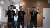 raynetsw  GIF