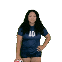 Womens Volleyball Sticker by Clarke University
