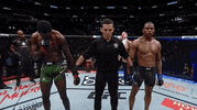 Mixed Martial Arts Fighting GIF by UFC