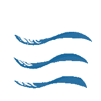 Sea Turtle Ocean Sticker by Anak Rimba Books