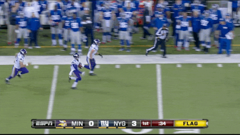 vikings GIF