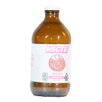 drinknectr sparkling water nectr Sticker