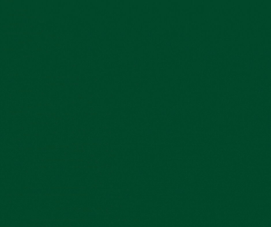 GIF by Wright State University