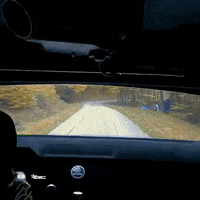 Fail Too Fast GIF by FIA European Rally Championship