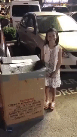 Forget Jack in the Box ... Girl Receives 'Dad in the Box' in Surprise Christmas Reunion