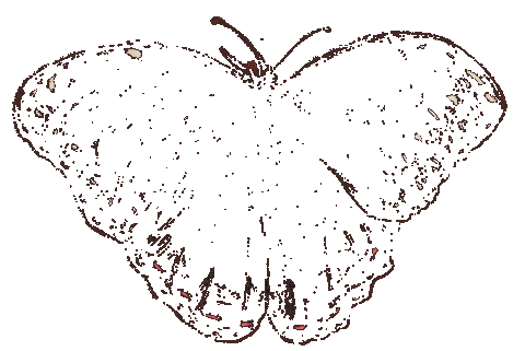 natural beauty illustration Sticker by Aspire to Amble