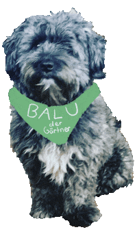 BaluDerGaertner dog hund doggie doglover Sticker