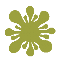 Flower Power Star Sticker