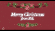 Snl GIF by Saturday Night Live