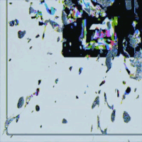 vintage vhs GIF by Yoshi Sodeoka