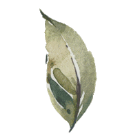 Funk Shaking Sticker by WDR