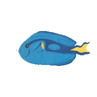 BeccaNuckley dory under the sea blue tang ocean fish Sticker