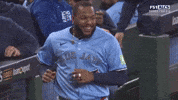 Blue Jays Sport GIF by MLB