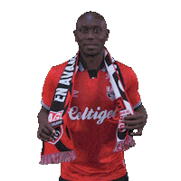 Ligue 2 Football Sticker by EA Guingamp