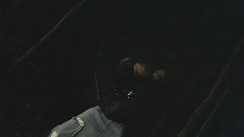 Evil Jordan GIF by Playboi Carti