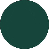 Monkey Zoo Sticker by Prima