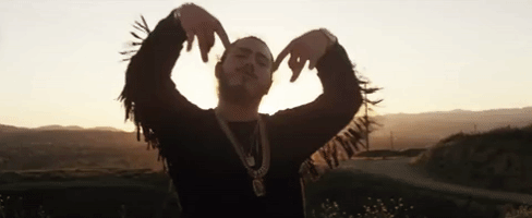 go flex GIF by Post Malone
